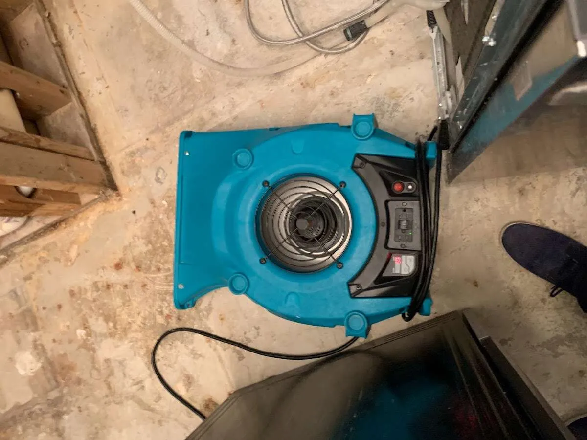 Air mover drying equipment for Mold Remediation & Removal in Zephyrhills