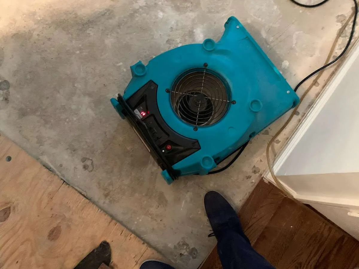 Air mover drying subfloor during Commercial Water Damage Restoration in Zephyrhills
